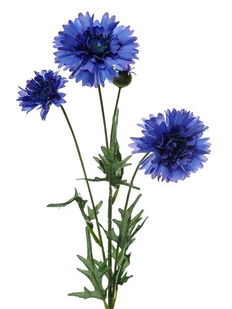 Cornflower Spray Blue 65cm
