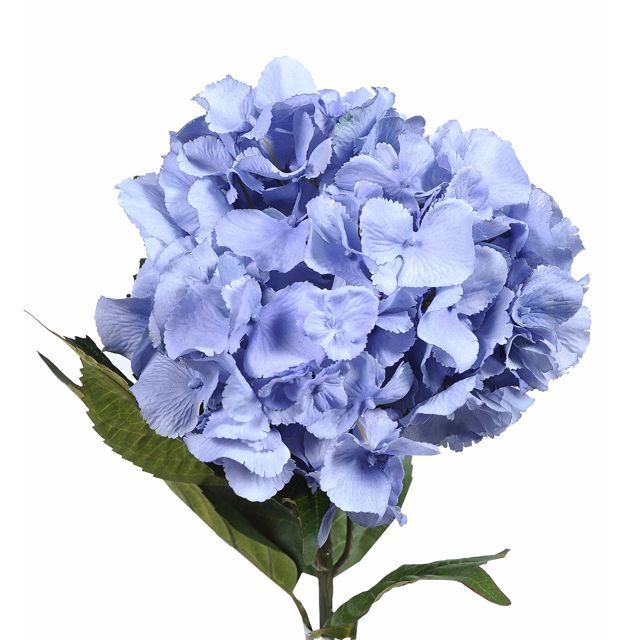 Extra Large Hydrangea Blue