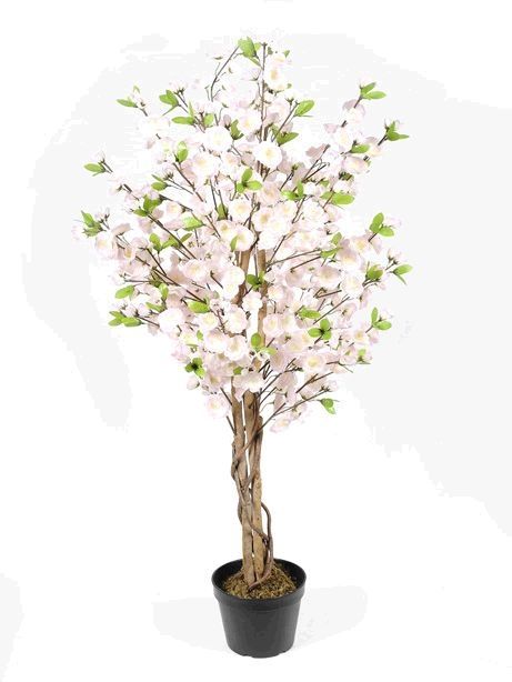 120cm Blossom Tree