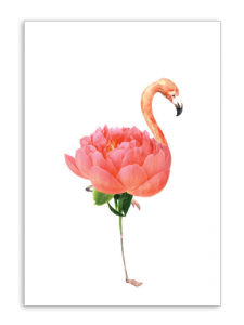 Blank Flamingo Card