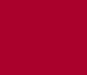 Pre Pleated Poly Ribbon Radiant Claret No.31 10m