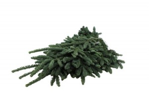 Pine Bundle