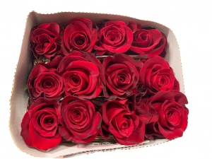 Roses: Valentines Pre-Order