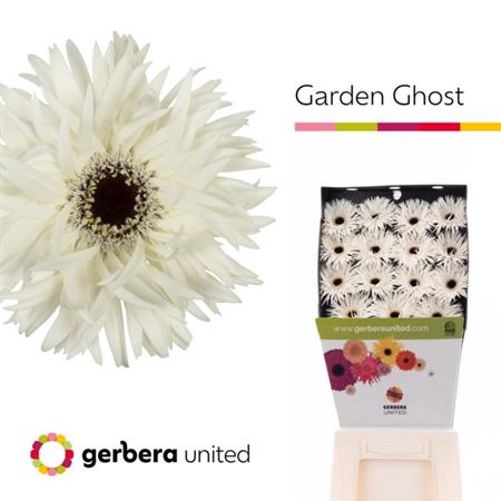Ge Gs Garden Ghost 50cm