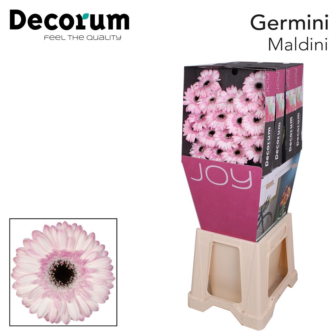 Germini Maldini Diamond 47cm