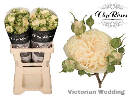 Rose Spray Vip Victor Wedding 50cm