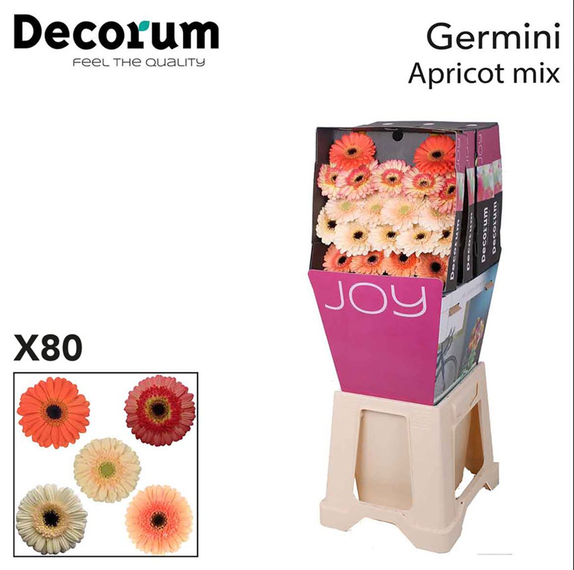 Germini Mix Pastel Diamond 50cm