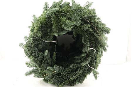 Wreath Pine Half 40cm