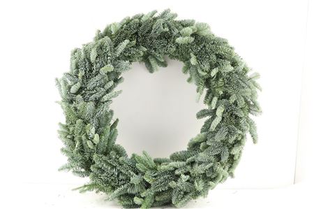 Wreath Pine Half 60cm