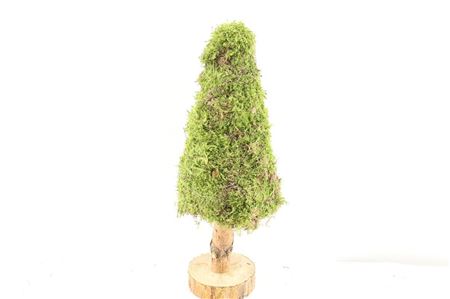 Moss Tree Round 40cm
