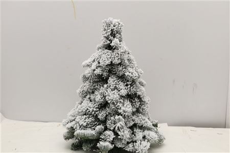Pine Tree Round Snow 40cm