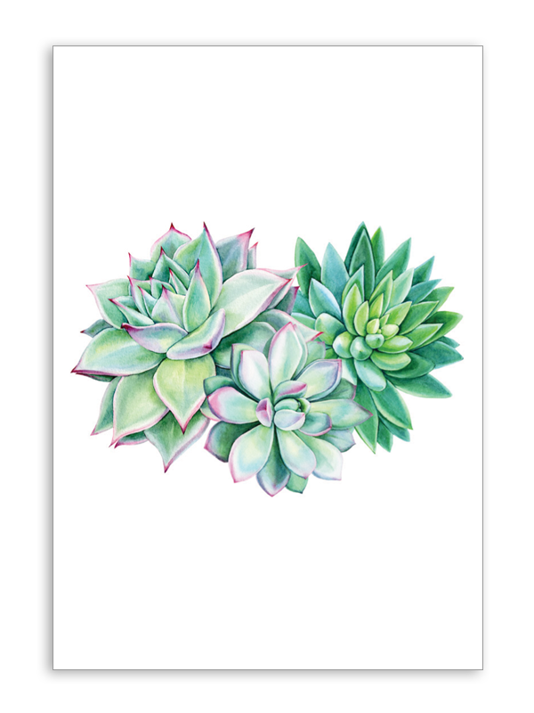 Blank Succulents Card